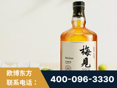 伊宁-梅见青梅酒